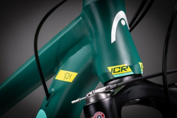 Bicicleta de Montaña X Rubi - Imagen 4