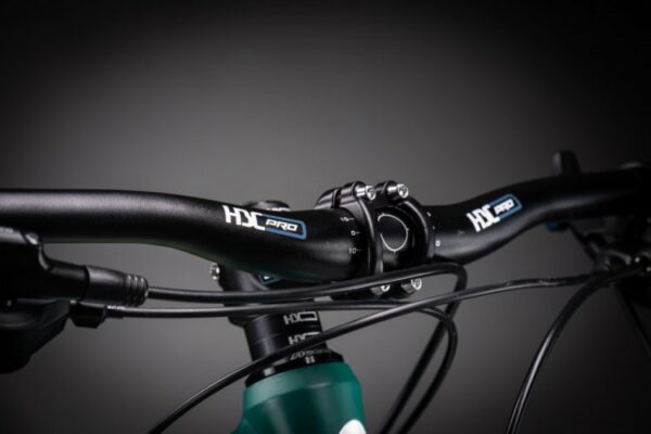 Bicicleta de Montaña X Rubi - Imagen 2